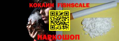 гашик Камышлов