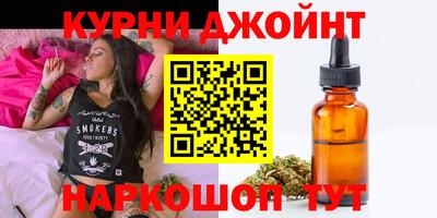 гашик Камышлов