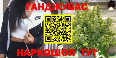 индика Волжский