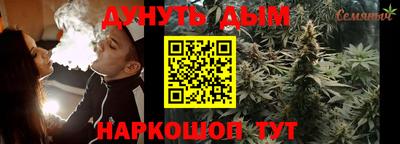 сатива Волгодонск