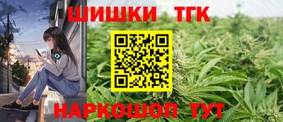 гашик Камышлов