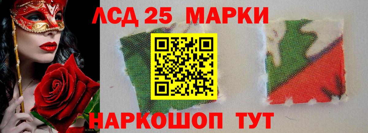 omg   Вход с VPN  Лсд 25 экстази ecstasy  Фрязино  LSD-25 экстази ecstasy 