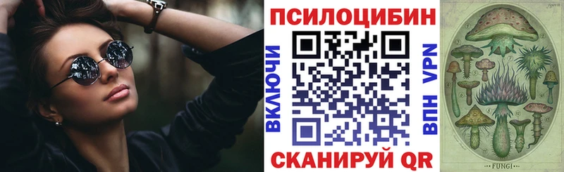 площадка наркотические препараты  blacksprut онион  Фрязино  Псилоцибиновые грибы Cubensis 