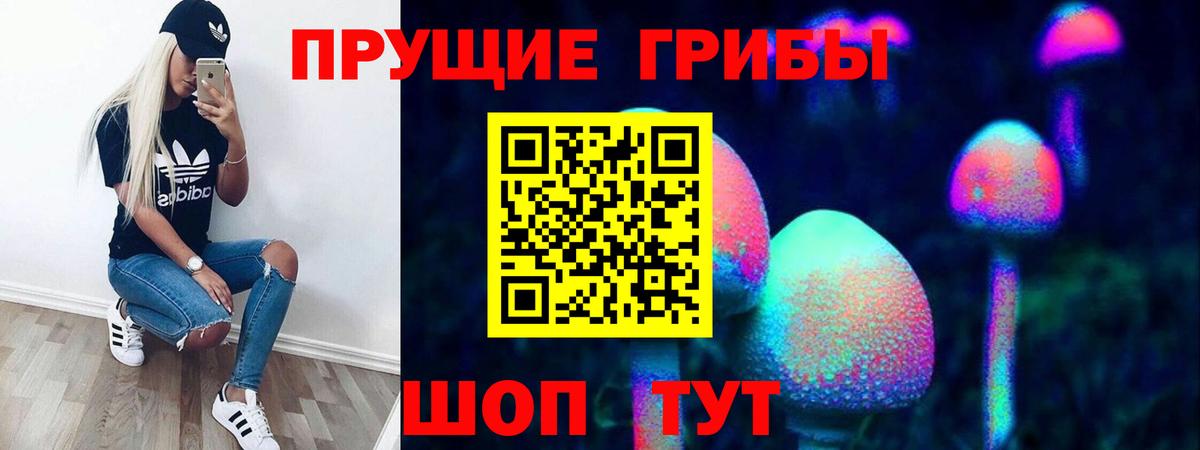 Псилоцибиновые грибы мицелий Фрязино