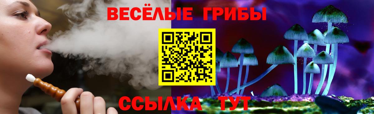 купить наркотик  Галлюциногенные грибы мухоморы  Вход с VPN  Фрязино 
