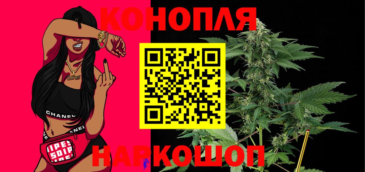 Каннабис OG Kush Фрязино